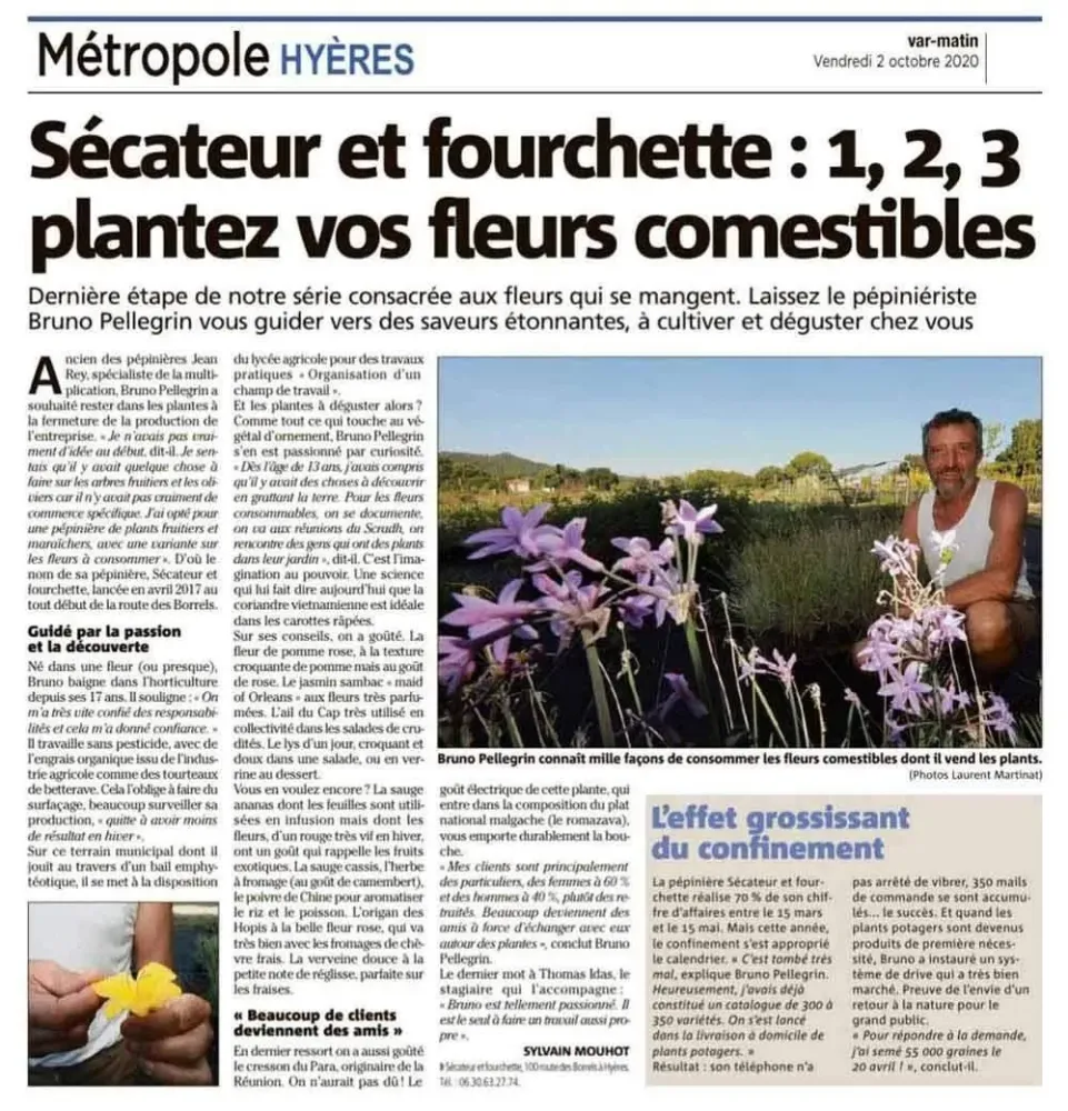 presse (3)