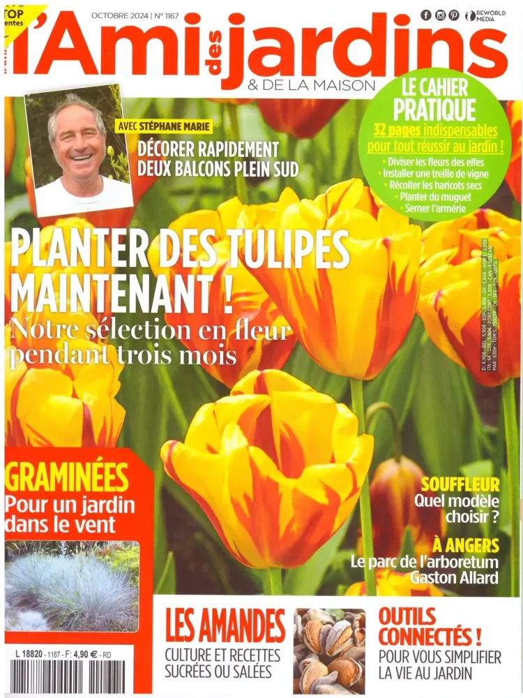 presse (4)